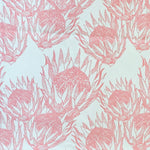 Pink Protea - Mint Collection