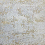 Shimmer and Shine